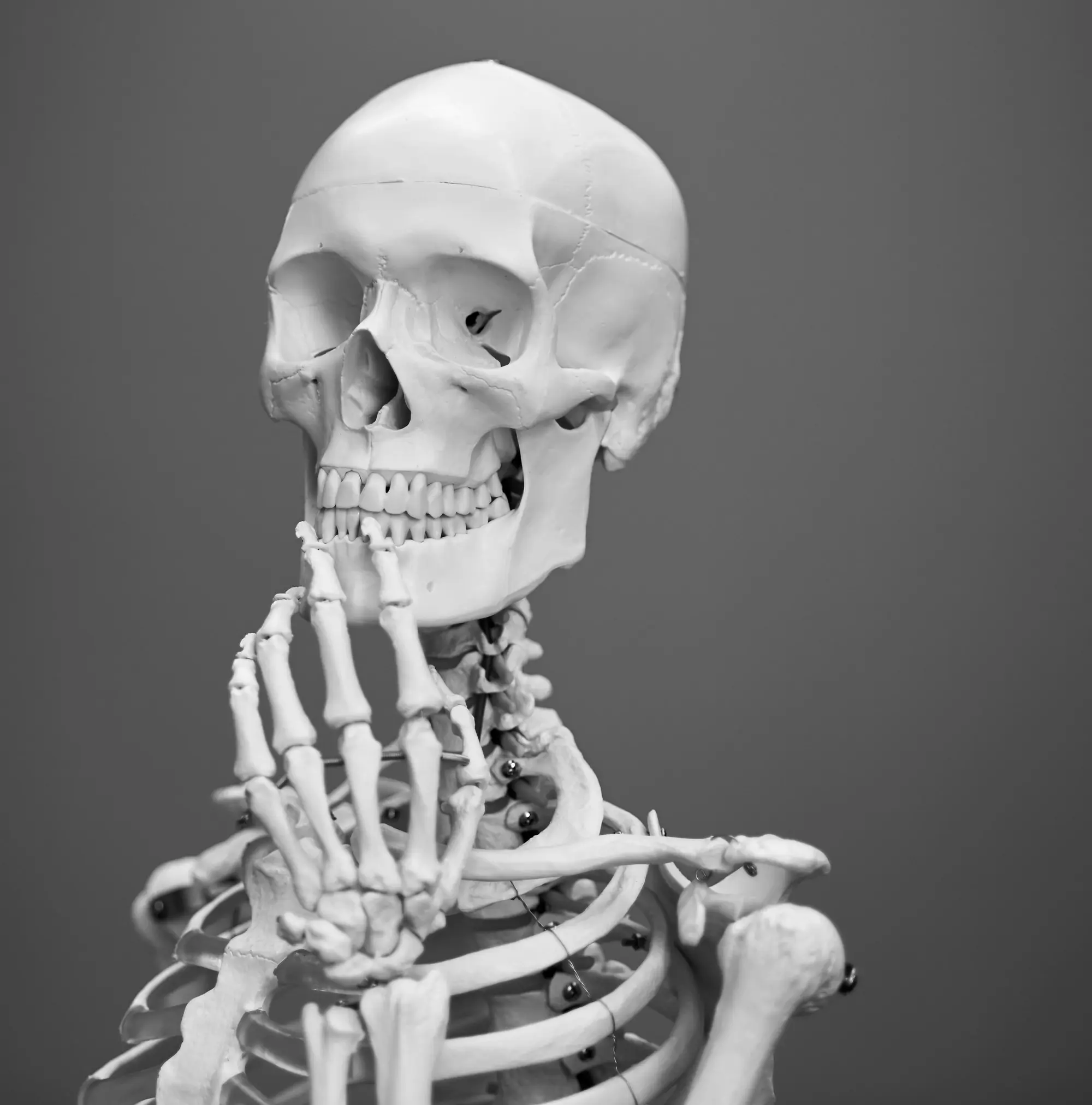 An anatomical skeleton model with its hand on its chin, as if thinking